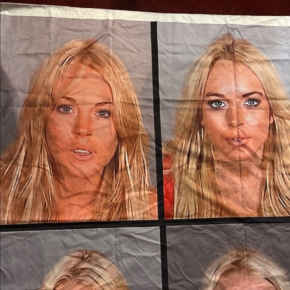 Lindsay Lohan Celebrity Mugshot Collage Tapestry - Picture 2 of 5